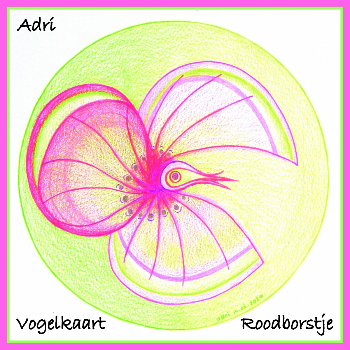 Vogelkaart Roodborstje